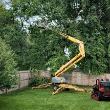 Colonial Park, PA Tree Removal and Landscaping Services Company